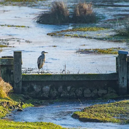 Apartment Seabird Zandvoort