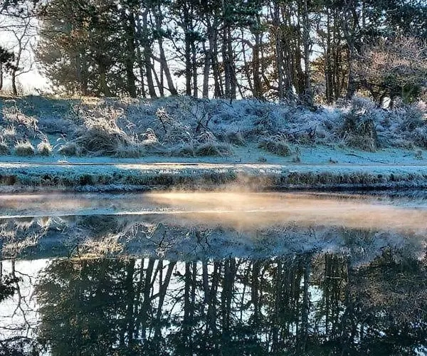 Апартаменты Seabird