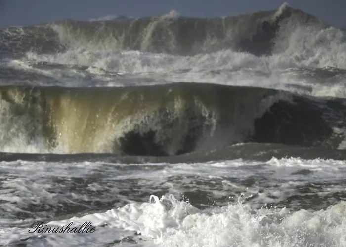 Seabird Апартаменты *