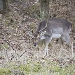 Seabird Apartment Zandvoort